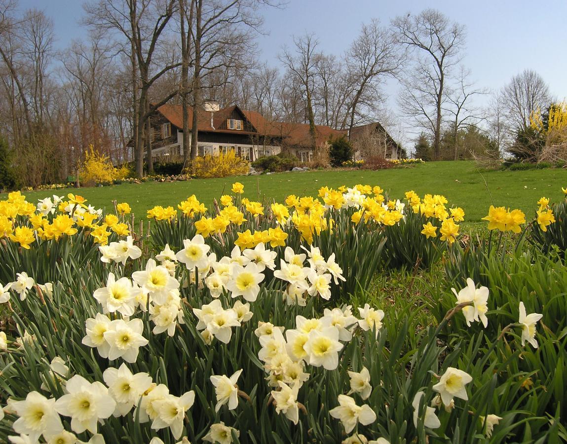 Swiss Woods Bed And Breakfast Литиц Экстерьер фото