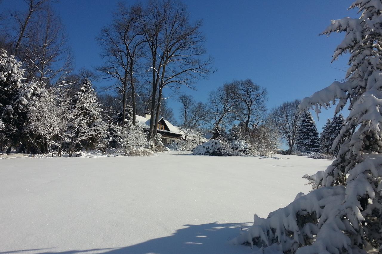 Swiss Woods Bed And Breakfast Литиц Экстерьер фото