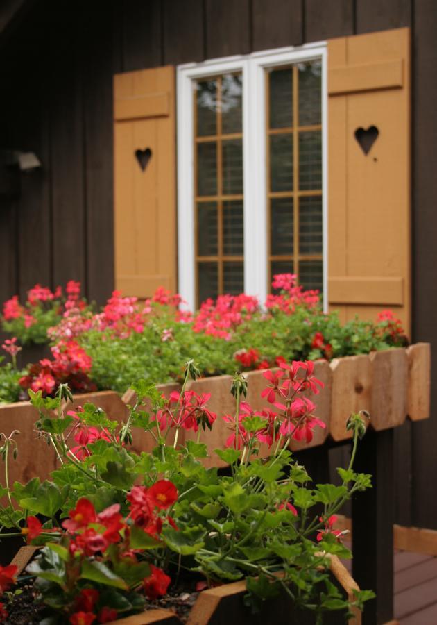 Swiss Woods Bed And Breakfast Литиц Экстерьер фото